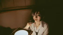 少爷-绝对领域