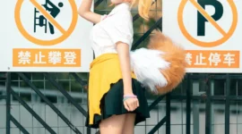 妲己 写真-绝对领域