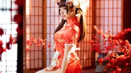 可爱旗袍娘 私影-绝对领域