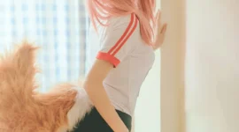 FGO 玉藻前JK服cosplay-绝对领域