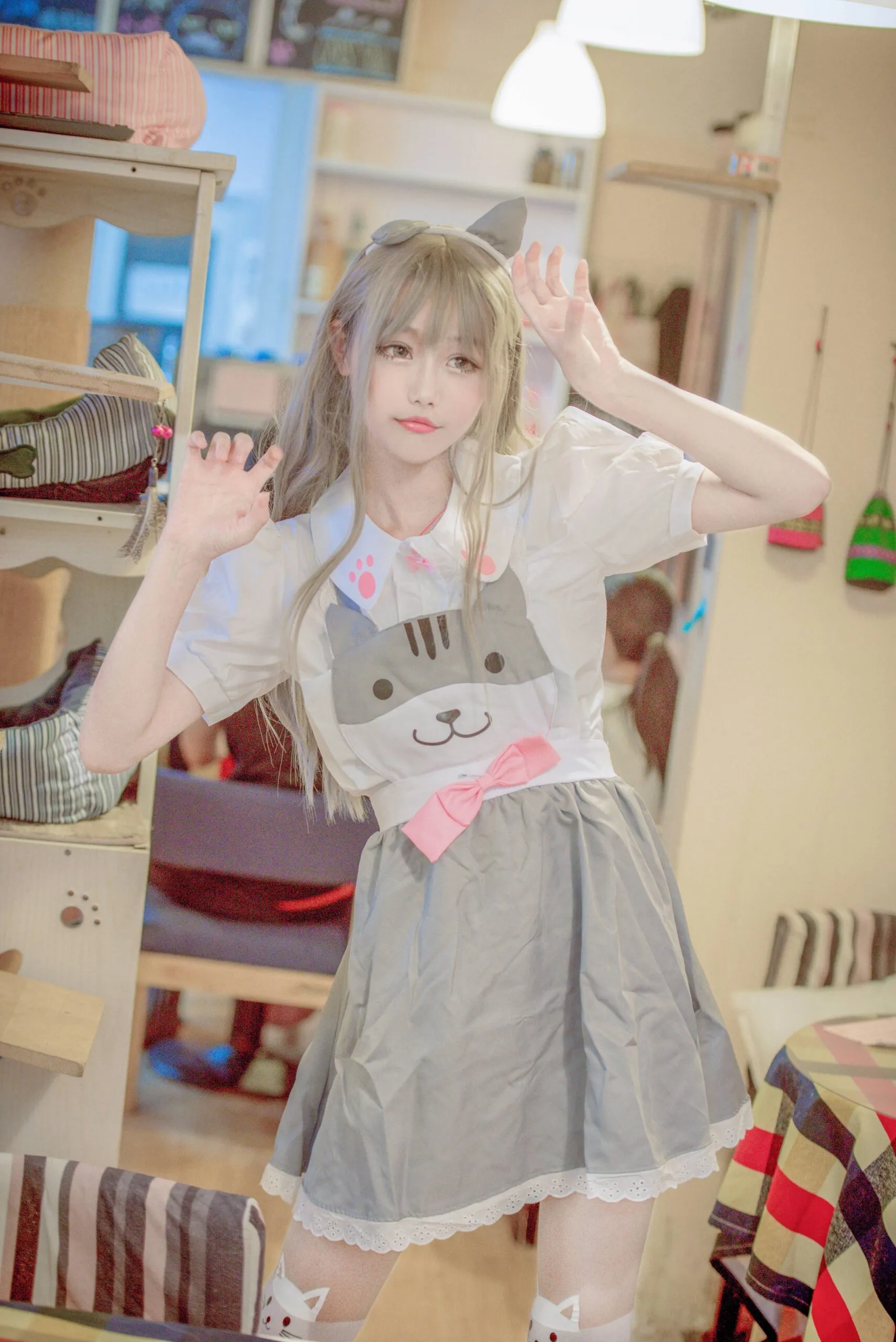 猫咪后院黑灰猫cosplay-绝对领域