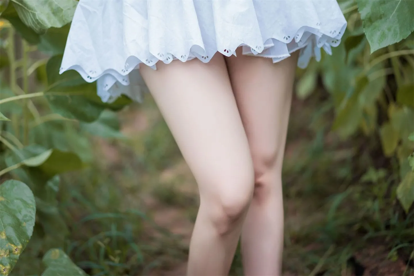d79f2843d77d11f