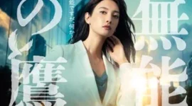 Netflix在美国和加拿大播放真人版《無能之鷹》系列-绝对领域