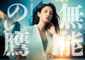 Netflix在美国和加拿大播放真人版《無能之鷹》系列-绝对领域