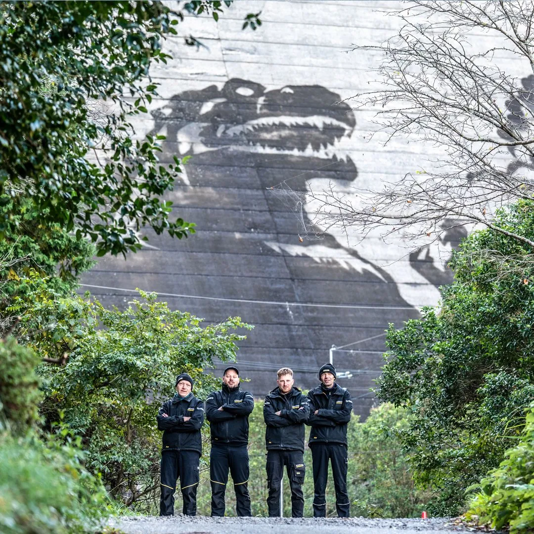 图片[6]-佐贺县水坝变身哥斯拉壁画巨幅画布-绝对领域